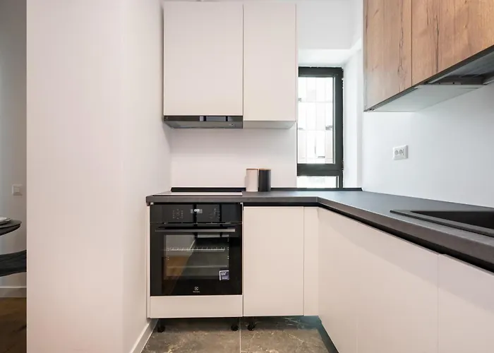 Apartman Maze Modern 1 King Bed Apartment, Fast Wi-fi, In One Cotroceni *